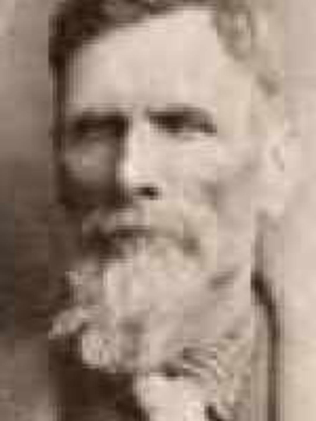 Simeon Comfort Powell (1842 - 1918) Profile